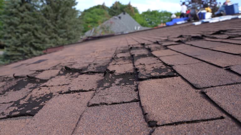 Best Hot Roofs  in Edgewood, PA